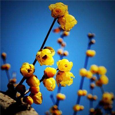 金沙乐娱场·官方网站