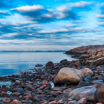 hth·华体育APPapp下载