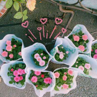 半岛官方网站下载